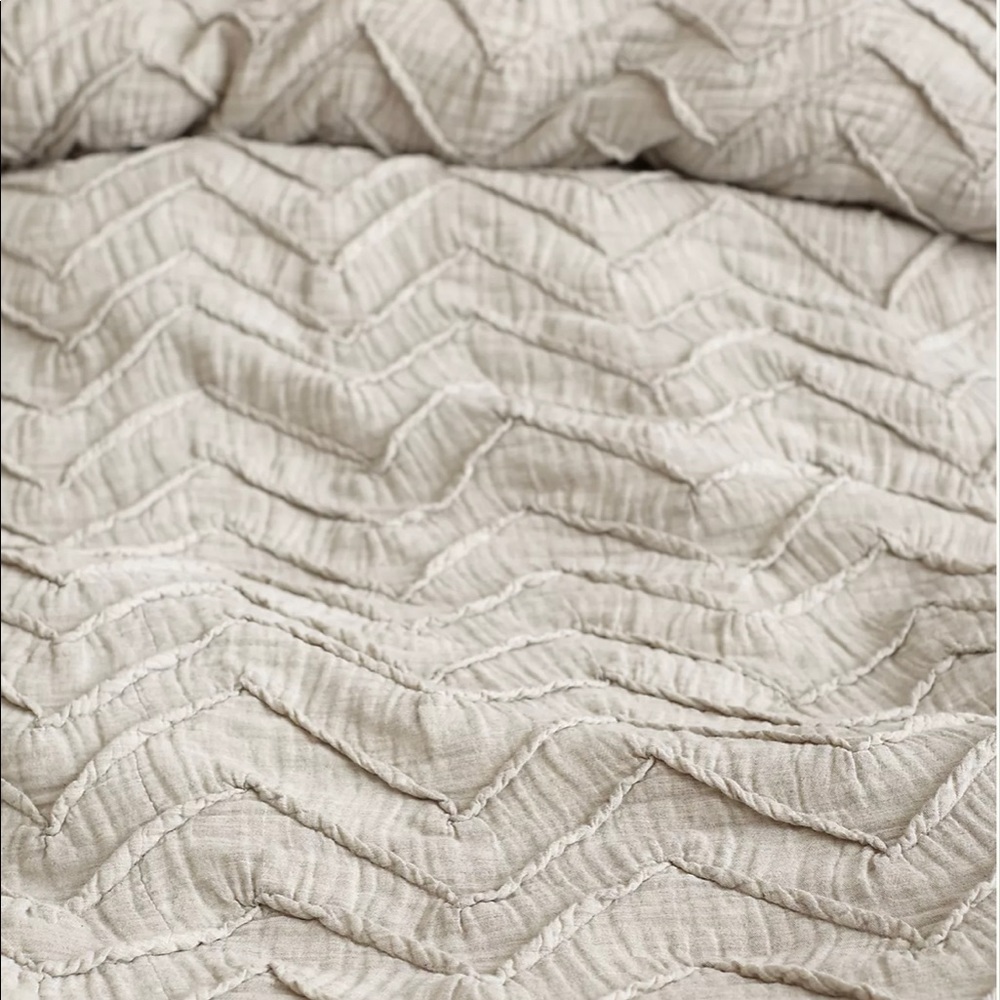 Anthropologie Chevron Duvet Cover